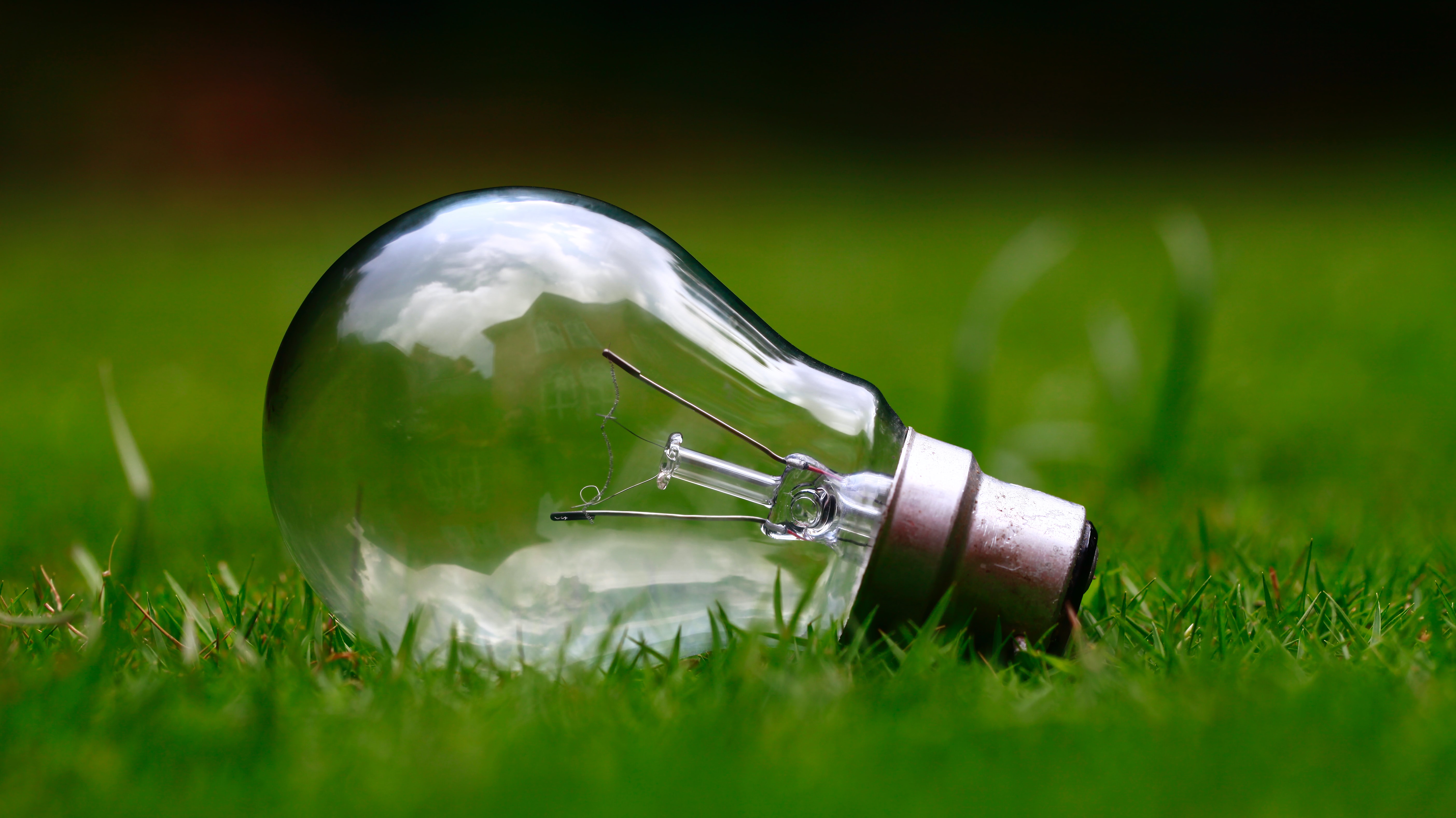 A light bulb on the grass